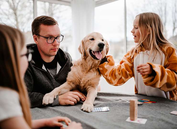 Egenberedskap for kjæledyr